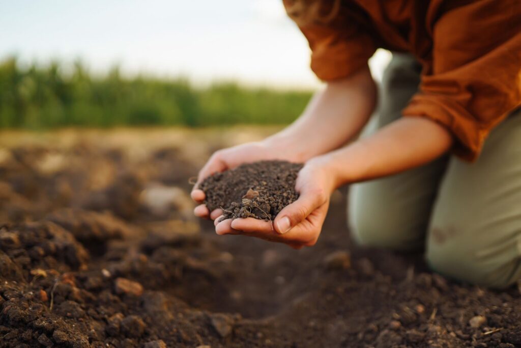 De ce este important să folosești un biostimulator ecologic pentru pământul tău